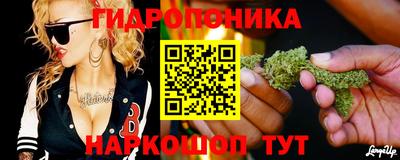 молекула духа Бийск