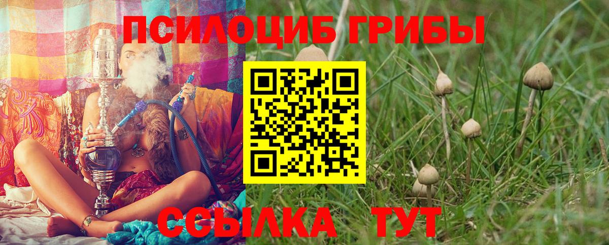 Псилоцибиновые грибы Magic Shrooms Зеленогорск