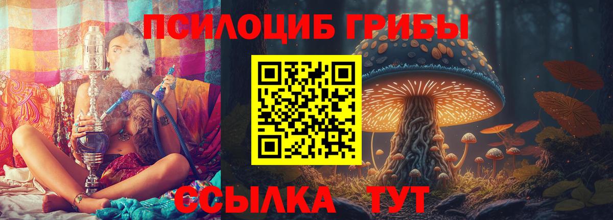 Псилоцибиновые грибы Psilocybine cubensis  Псилоцибиновые грибы Psilocybe  Зеленогорск  Вход с VPN 